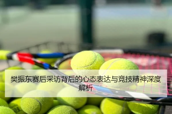 樊振东赛后采访背后的心态表达与竞技精神深度解析