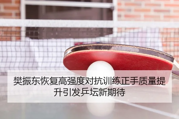 樊振东恢复高强度对抗训练正手质量提升引发乒坛新期待