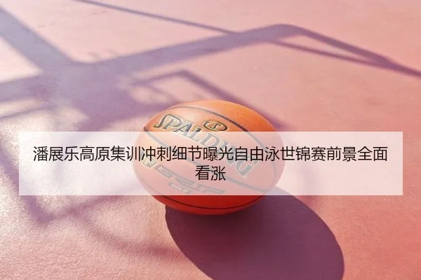 潘展乐高原集训冲刺细节曝光自由泳世锦赛前景全面看涨