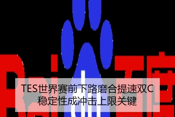 TES世界赛前下路磨合提速双C稳定性成冲击上限关键
